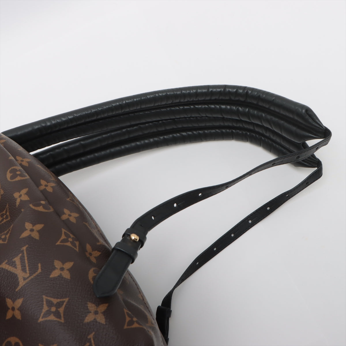 Louis Vuitton Monogram Palm Springs bag pack mm M41561 PL2168