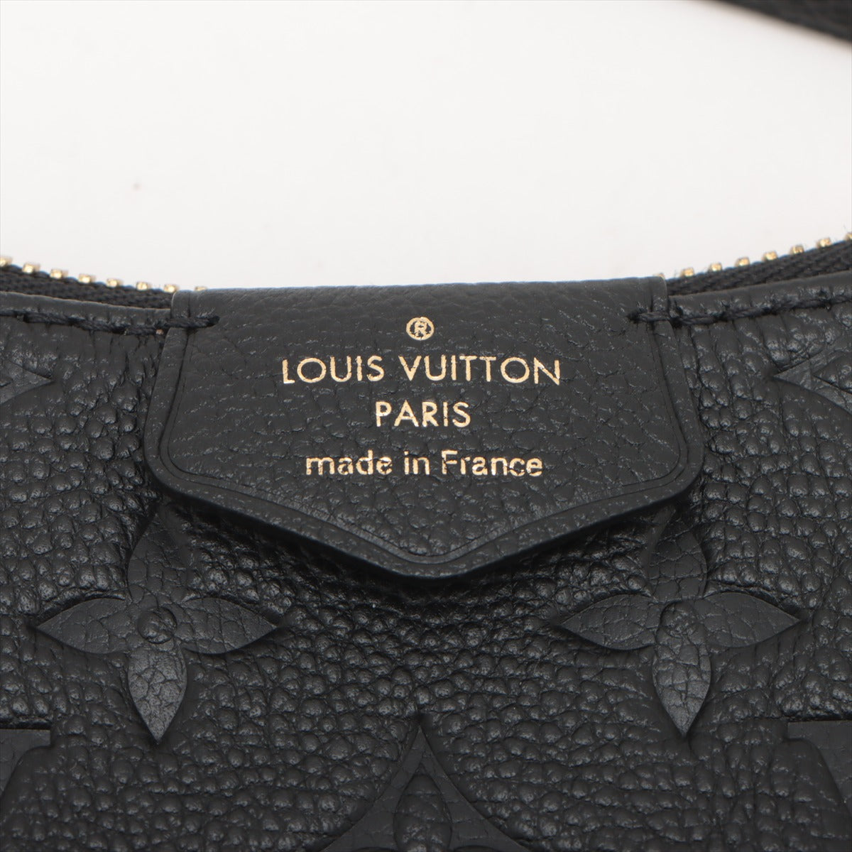 Louis Vuitton Monogram Empreinte Easy pouch